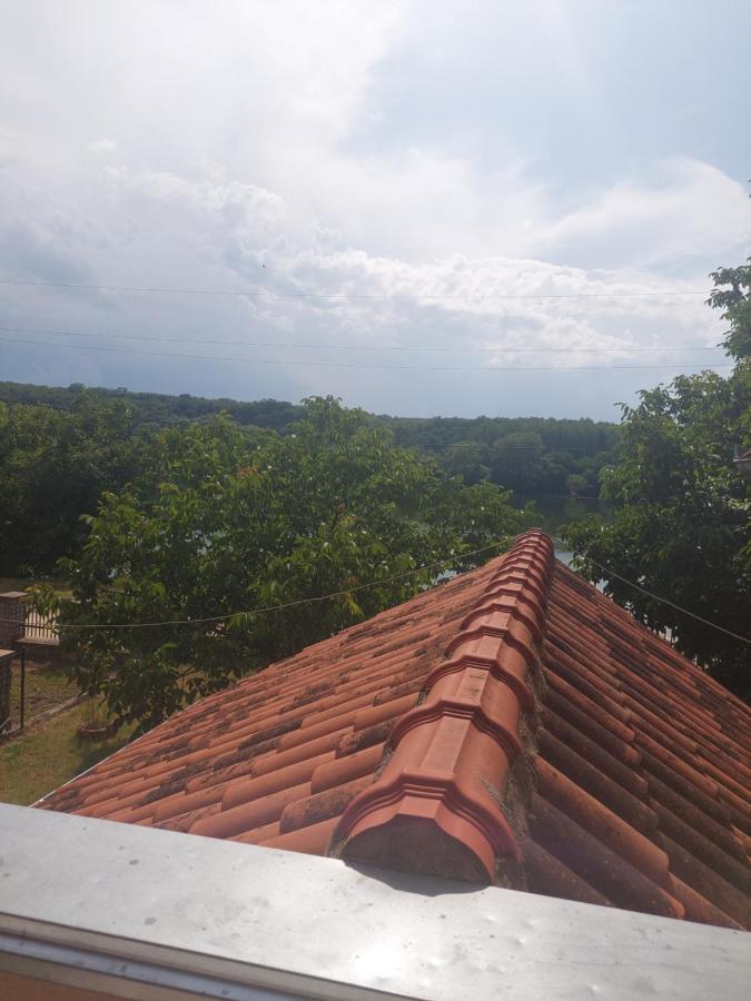 Ljubomir - Srebrno Jezero Villa Kiseljevo
